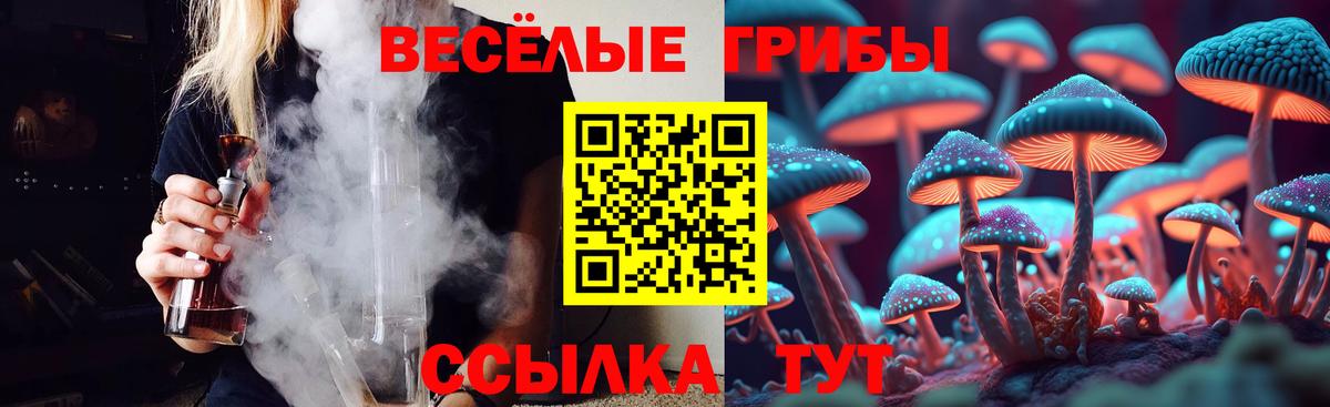 Галлюциногенные грибы Psilocybe  Вход с VPN  Будённовск  Псилоцибиновые грибы прущие грибы 